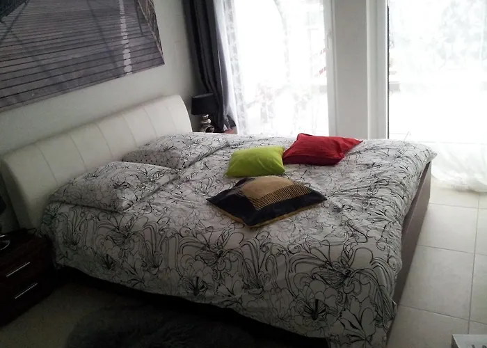 Daire Swissart | View